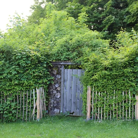 Waldidyll Holiday home *