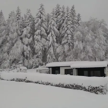 Waldidyll Ferienhaus *